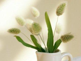 腾讯相册在微信怎么打开,怎样在微信腾讯相册中存照片