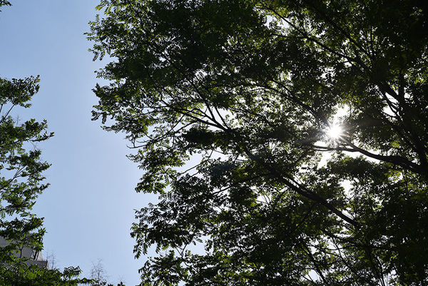 尼康d90加永诺50mmf1.8d怎么用,尼康50mm1.8g和永诺50mm1.8