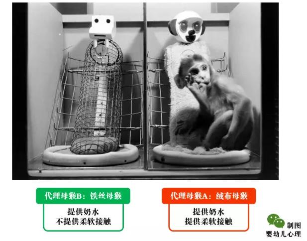 你与妈妈的关系决定了什么,来自妈妈的爱对话