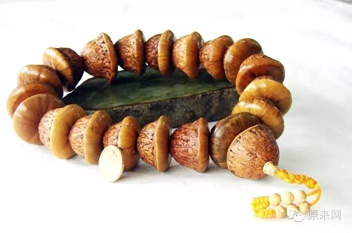 菩提本无树，果实作文玩