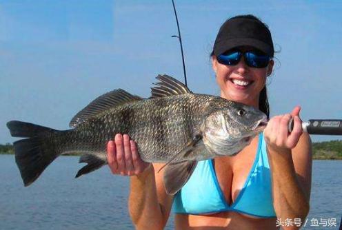 贵的就好么?鱼线轮价格比我贵13倍,抛头距离却只远了10米!