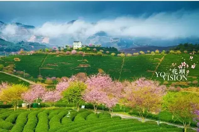 国内2月最美旅行地大推荐,风景线一路美到底(内附游玩线路)!