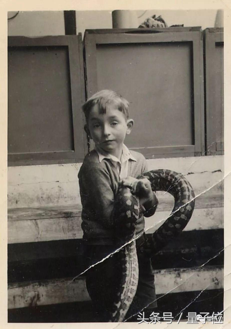 hinton深度学习论文,hinton最新演讲视频