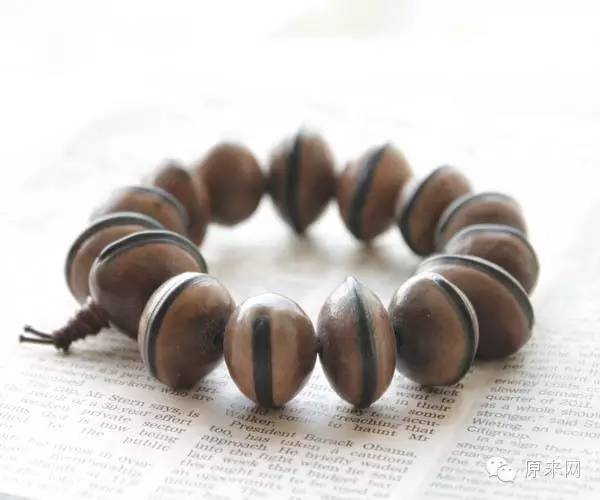 菩提本无树，果实作文玩