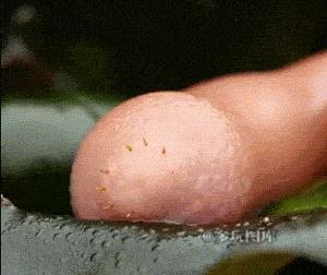 搞笑gif合集大妈你一定要hold住啊,搞笑gif合集2016