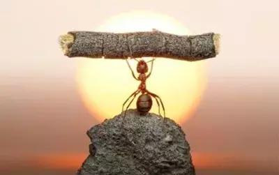 咫尺还是天涯，这位青年医生的文字让我们相信见字如面！