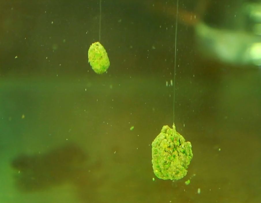 冬钓拉饵配方,冬钓拉饵用多大漂