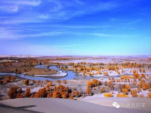 面积是全国最大县，农民收入直逼上海，说的就是*疆新**这个县