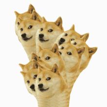 新衣新鞋年后穿,狗年限定买哪款最值