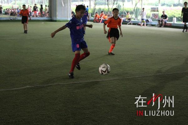 柳州中小学生足球联赛官网,柳州足球小孩比赛视频