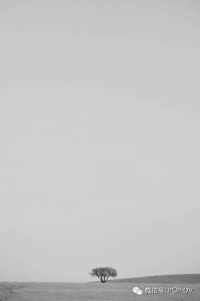 宇宙区长孙连城片段,宇宙天魔电影片段