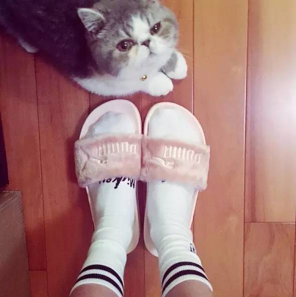 adidas上的侃爷,adidas有什么好的fgmg足球鞋