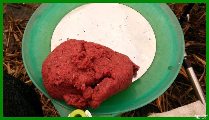 大鲫鱼大鱼,大鲫鱼大鲤鱼