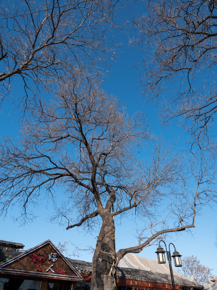 松下lumixg95d评测,松下lumixg9多少钱