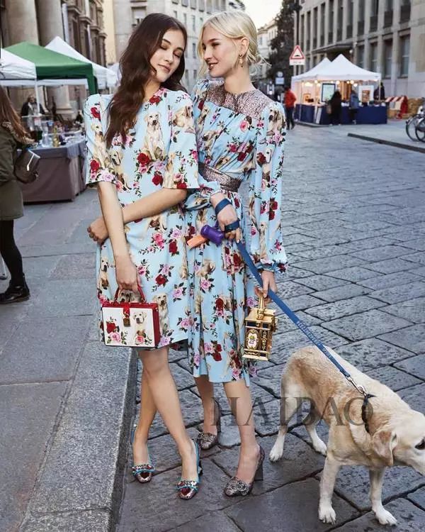 毕竟爱狗|哈哈哈哈哈哈……听说你们要买狗年单品?我就真的不拦了!