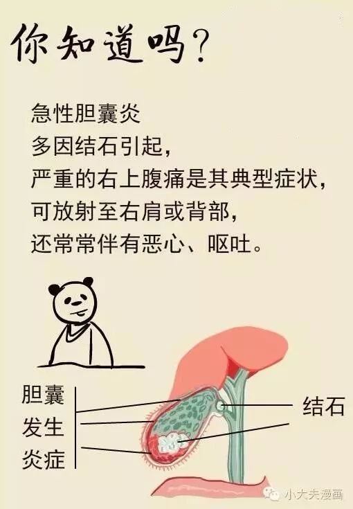 一招判断是胃疼还是胆囊炎,怎样快速缓解胆囊引起的胃疼