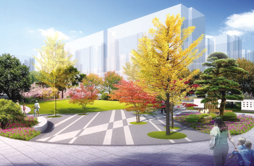 海盐最美网红路,海盐塘路图片