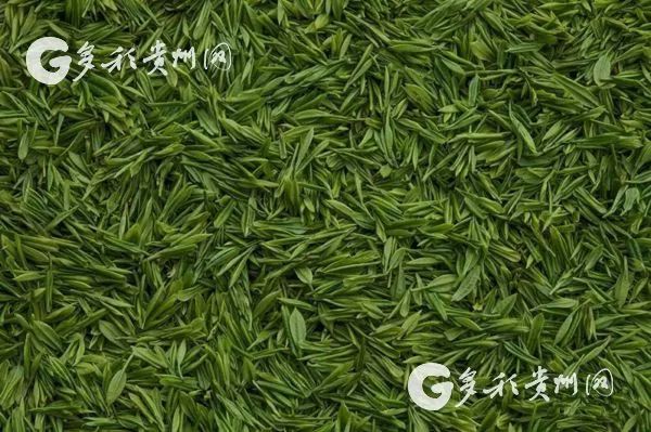 贵阳批发市场攻略,贵阳最便宜的批发市场在哪里