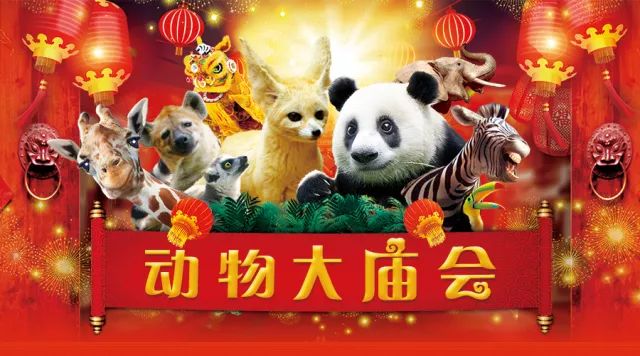 富阳春节旅游,富阳春节过年周围旅游攻略