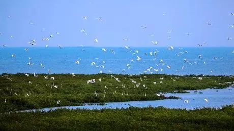北海十大打卡海景,城事粤语