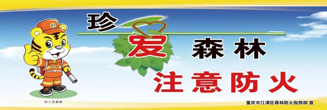 双福最新视频,双福还能回来吗