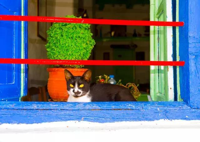 涓嶅閿欒繃鐨勬梾琛岀洰鐨勫湴,姝ょ敓蹇呭幓鐨勬梾娓哥洰鐨勫湴