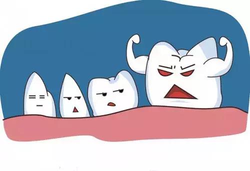 关于牙齿你有哪些疑问呢,关于牙齿的疑问