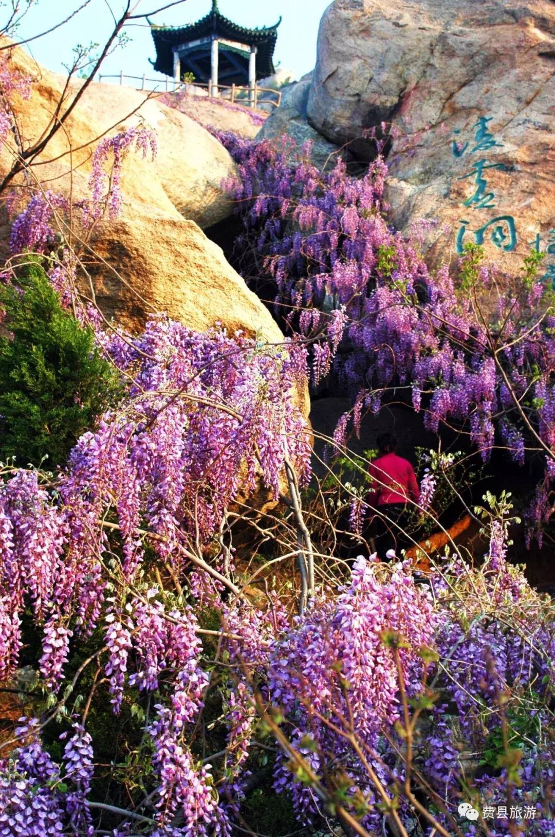 费县县城最惊艳的地方,费县有意境的地方