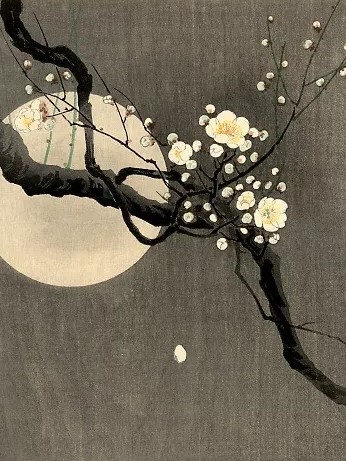 古筝曲谱初学者简单版,古筝音符快速记忆