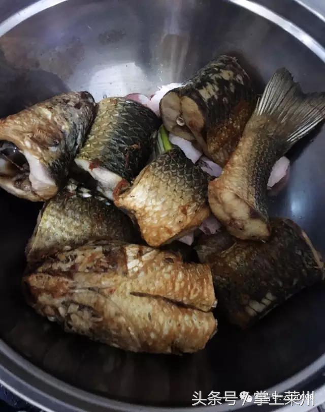 莱州三山岛有什么鱼,莱州三山岛渔港的鱼