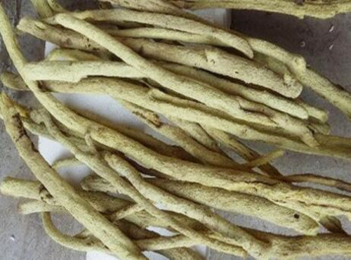 黄皮甘蔗白皮甘草的种植技术,甘草需要种植多少年才可收获