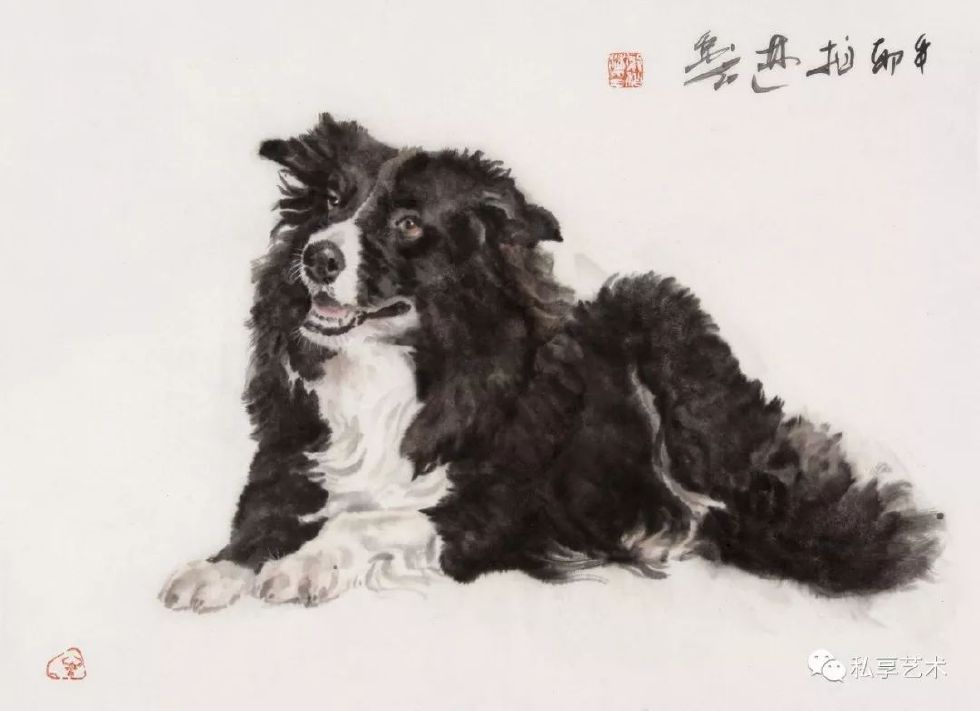 瑞犬迎春视频完整版,瑞犬迎春