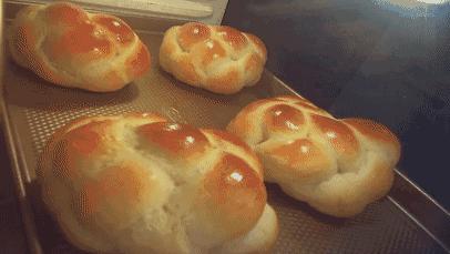 新手小白怎么选择烤箱,初学烘焙如何选择烤箱