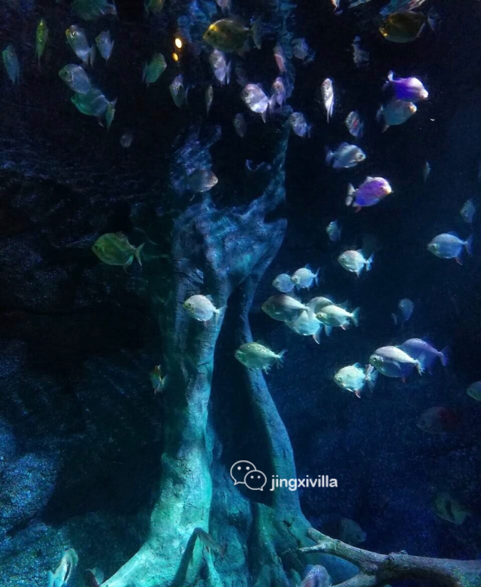 泰国曼谷亲子游攻略视频,泰国曼谷亲子游行程