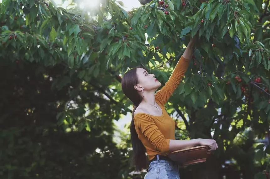可以媲美欧洲的自驾游地区,十大最适合自驾游的国家