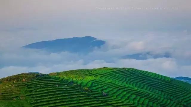 南昌自驾游攻略景点推荐一日游,南昌附近免费好玩的地方自驾游