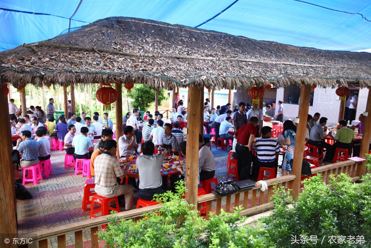 农村做什么赚钱快投资小,做什么赚钱最快最稳农村