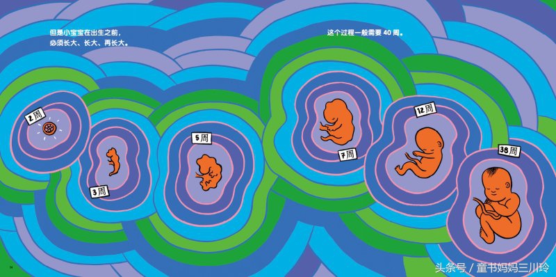 妈妈,什么是啪啪啪?我是从哪儿来的?如何回答这些尴尬问题