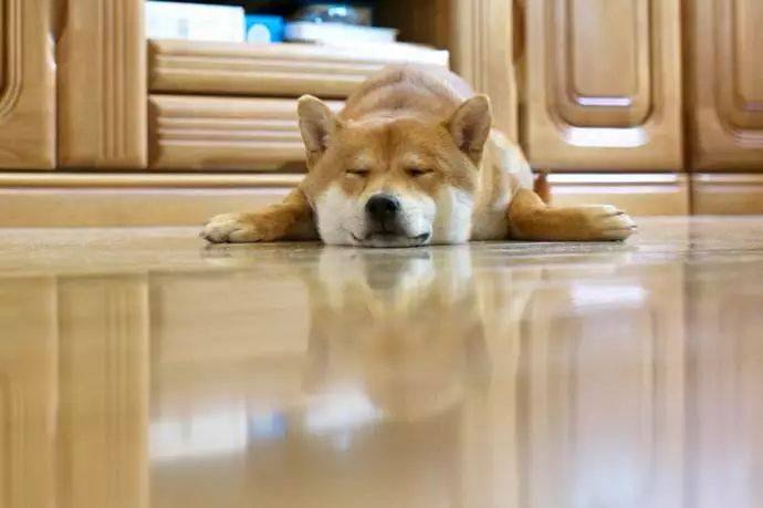 一招教你轻松搞定过年大扫除,掌握这几招轻松搞定年底大扫除