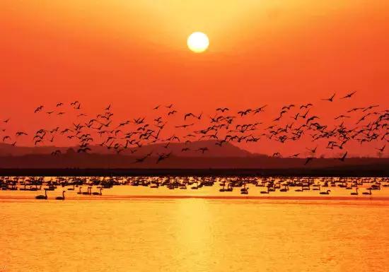 南昌附近小众露营看日出日落,南昌到广州自驾游有哪些景点好玩