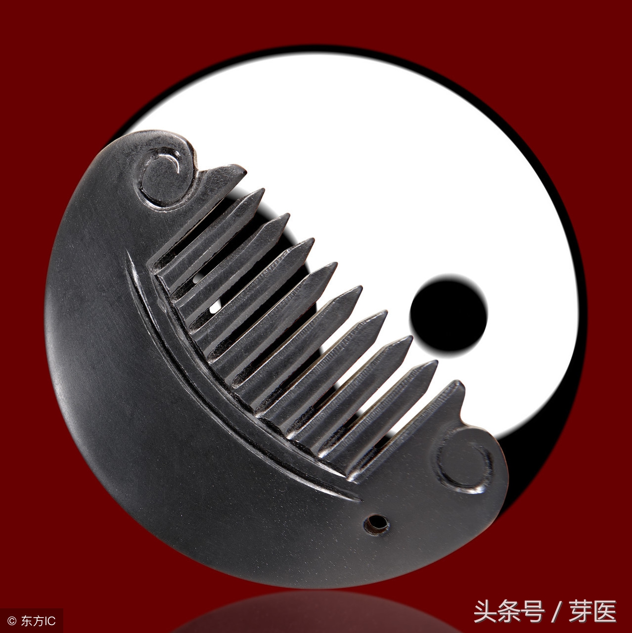 黄帝内经通解,黄帝内经之医史篇10集