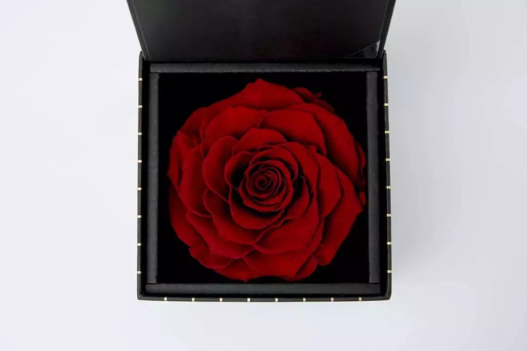 这个情人节大家怎么过,这个情人节该如何过