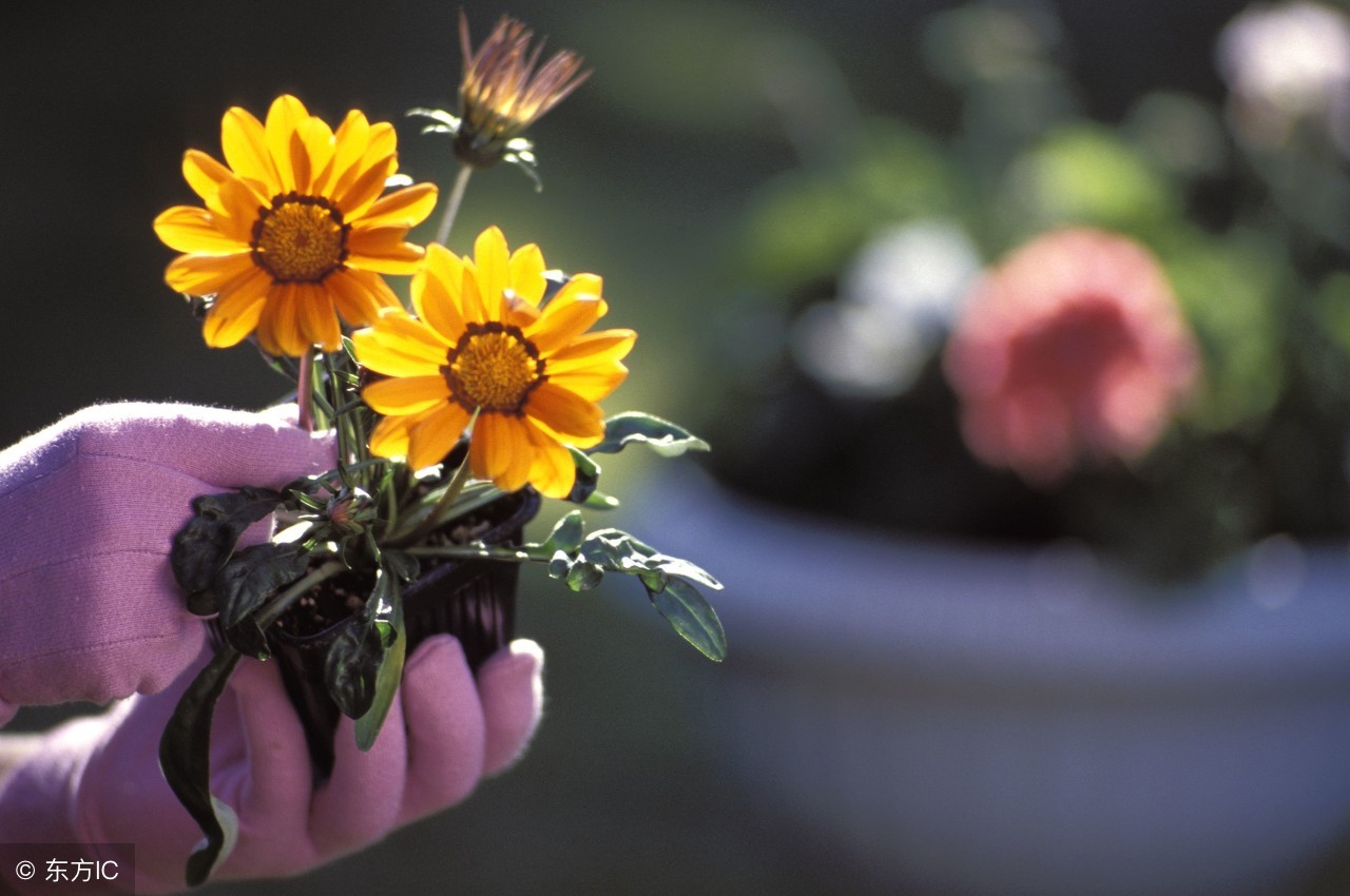 伤心的时候怎么办歌词,伤心的时候该怎么办才好