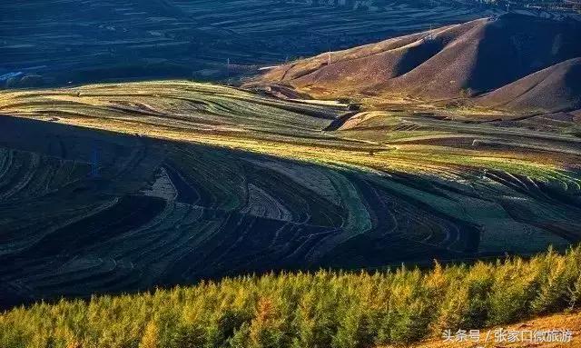 张北草原天路现在的景色,张家口张北草原天路攻略