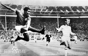 1966世界杯英格兰球衣,1966世界杯决赛英格兰客串门将