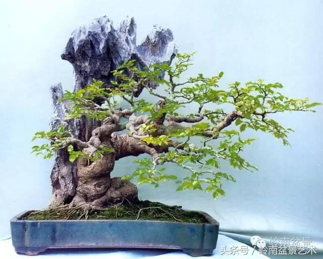 过年送礼好不好,过年送礼单数还是双数好