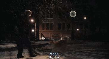 狗年旺旺视频完整版,狗年旺旺2019