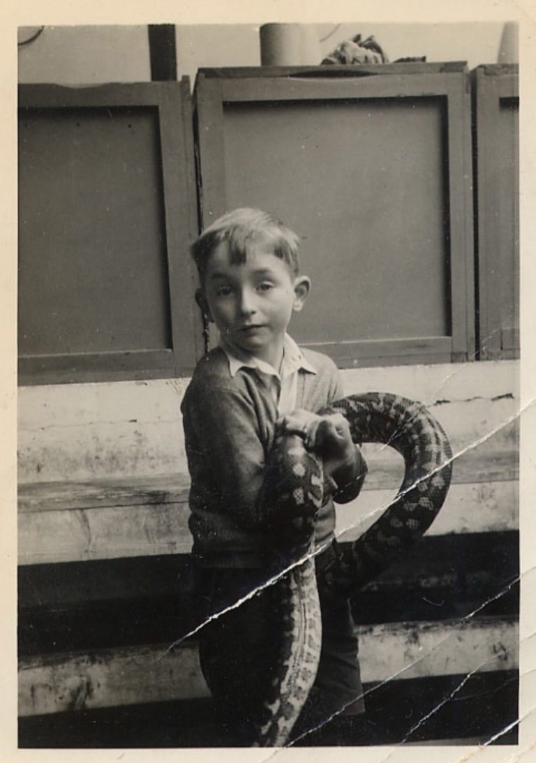 从无人问津到一鸣惊人,从无人问津到家喻户晓