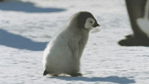 壁挂炉被冻坏不在“三包”范围，快来学学壁挂炉怎么防冻吧！