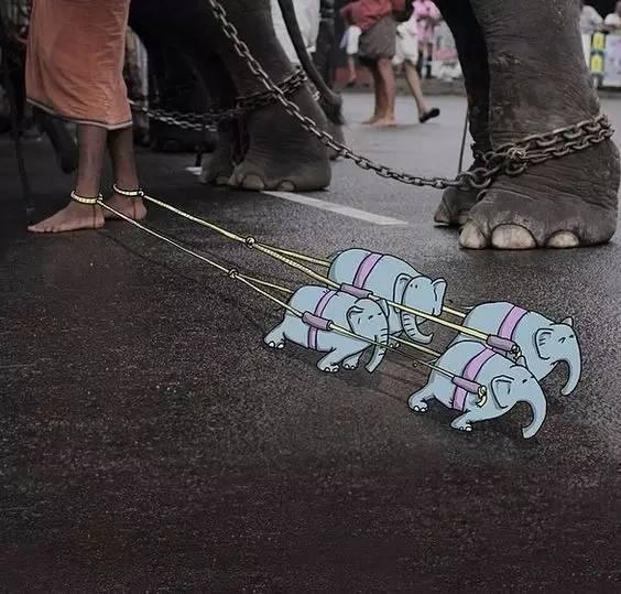 插图和摄影插画,插画风格摄影